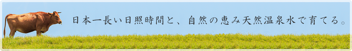 日本一長い日照時間と、自然の恵み天然温泉水で育てる。